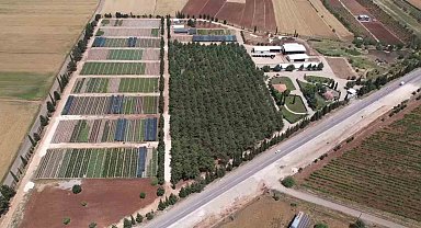 Yılda 1 milyona yakın fidan üretimi yapılıyor