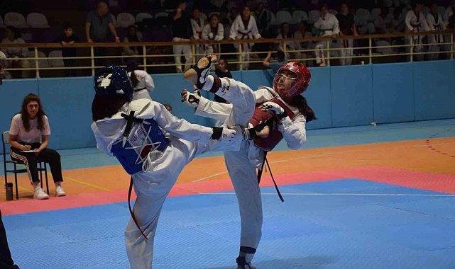 Yıldızlar Tekvando Müsabakaları tamamlandı