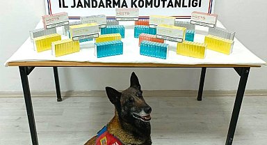 Yolcu otobüsünde faturasız elektronik sigara kartuşu ele geçirildi