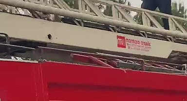Yurt bahçesindeki ağaçta mahsur kalan kedi kurtarıldı