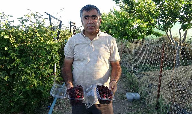 3 yıl önce evinin bahçesinde hobi olarak başladı, şimdi taleplere yetişemiyor