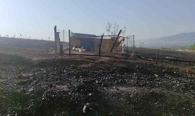 Alevlerin sardığı kümesteki hayvanları kurtarmak isterken yaralandı
