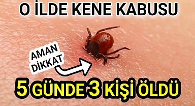 Aman Dikkat Kene 5 Günde 3 Kişinin Ölümüne Neden Oldu