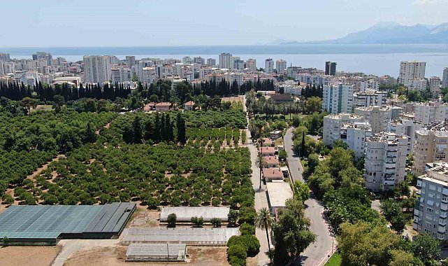 Antalya 19 yılda 100 bin futbol sahası büyüklüğünde tarım alanını kaybetti