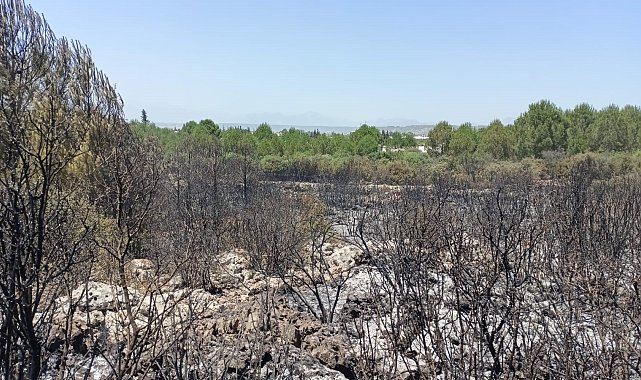 Antalya'da orman yangınında 2 hektar alan zarar gördü