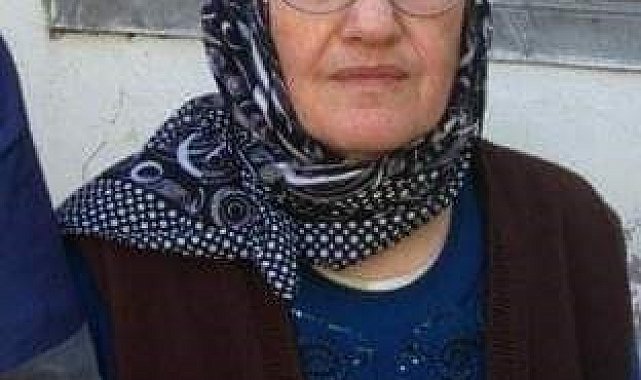 Artvin'in Yusufeli ilçesinde yılanın ısırdığı yaşlı kadın hayatını kaybetti