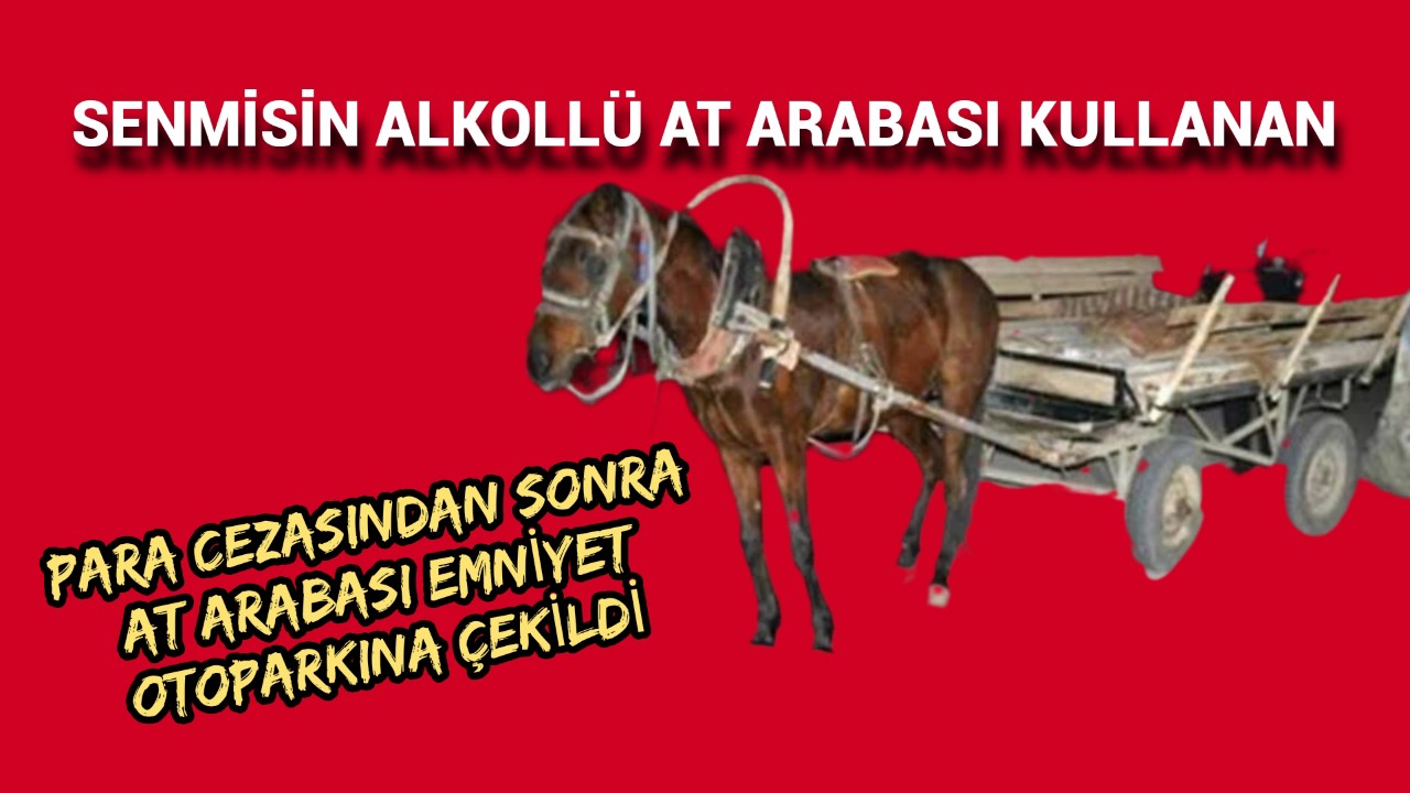 At Arabasını Alkollü Kullanan Kişiye Ceza Yağdı