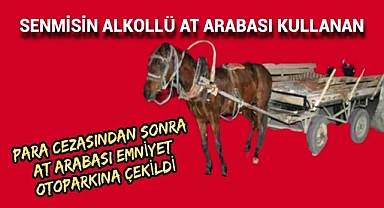 At Arabasını Alkollü Kullanan Kişiye Ceza Yağdı
