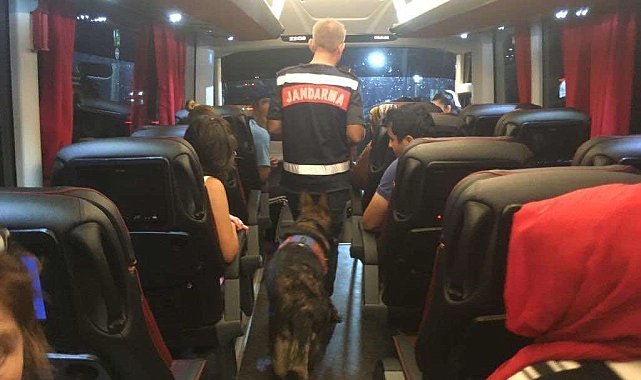 Aydın'da 4 aranan şahıs yakalandı