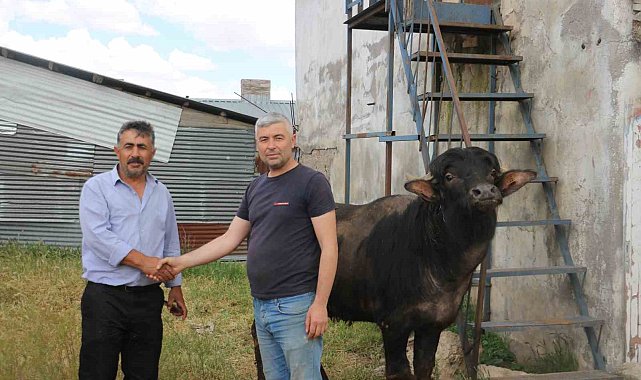 Bağışlar arttı kurbanlıklar pazarda kaldı