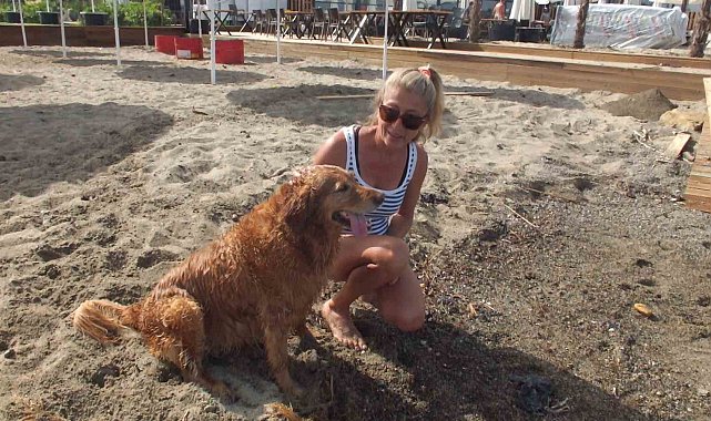 Balıkesir'de 'Grim' köpeğin deniz keyfi