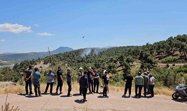 Balıkesir'de orman yangını kontrol altına alındı
