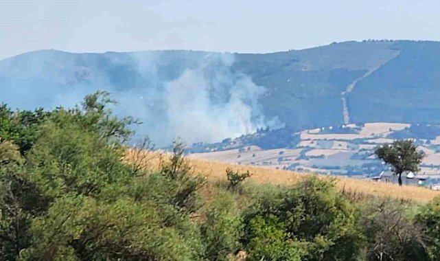 Balıkesir'de orman yangını