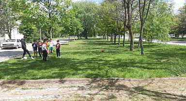 Başıboş köpekler Sivas'ta dehşet saçtı