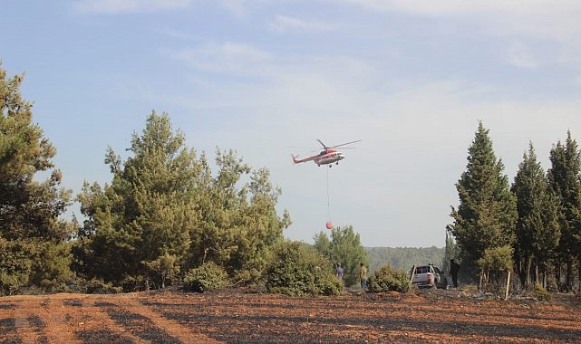 Bayramiç'teki yangın kontrol altına alındı