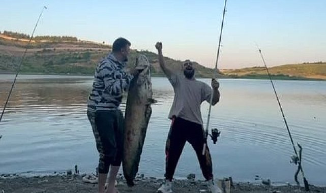 Bursa'da iki arkadaş oltayla 165 santimetrelik balık tuttu