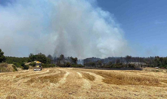 Çanakkale'de orman yangınına 9 uçak ve 5 helikopterle müdahale ediliyor