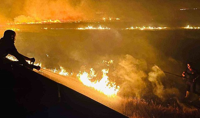 Cizre'de anız yangını ekili alanlara ulaşmadan söndürüldü