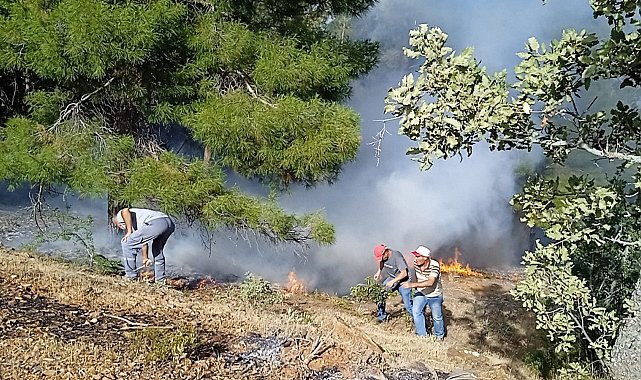 Denizli'de orman yangını