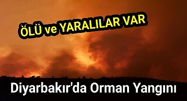 Diyarbakır'da orman yangını ölü ve yaraĺılar var