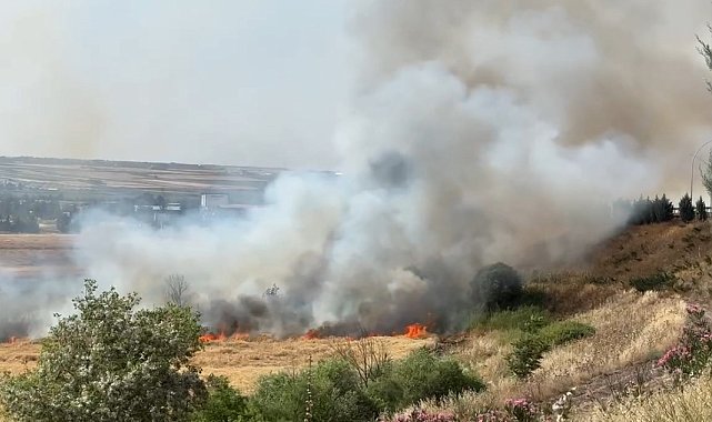 Diyarbakır'da 300 dönüm ekili buğday yandı