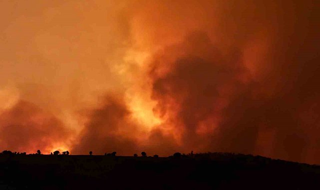 Diyarbakır'da anız yangını: 3 ölü, 9 yaralı
