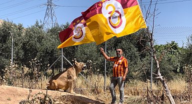 Diyarbakırlı taraftar, Galatasaray'ın 24. şampiyonluğunu aslanlarıyla kutladı