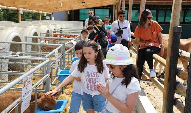 Dünya Süt Günü'nü coşkuyla kutlandılar