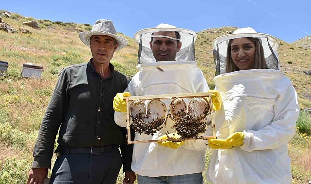 Dünyanın en kaliteli balını elde edebilmek için yoğun çaba sarf ediyorlar