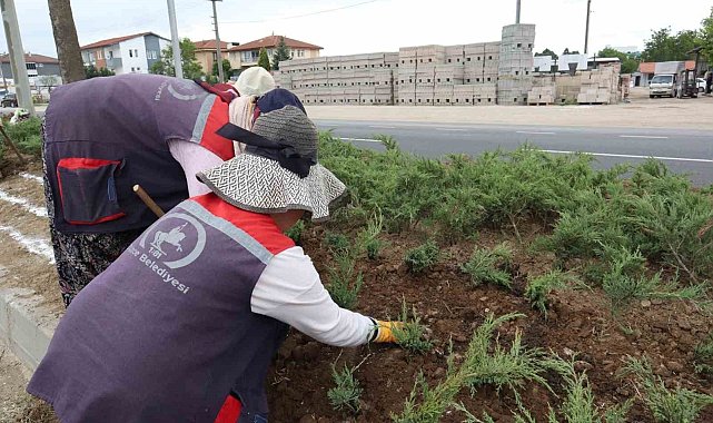 Düzce'nin dört bir yanı çiçeklendiriliyor