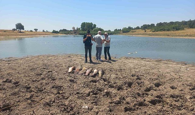 Edirne'de toplu balık ölümleri ile ilgili soruşturma başlatıldı