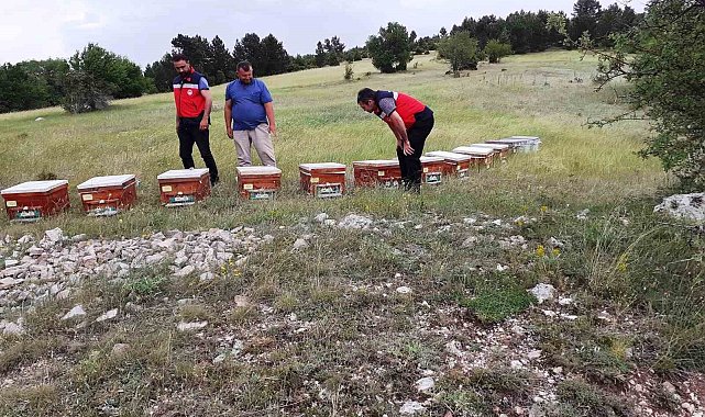 Emet'te ayılar tarafından kovanları parçalanan yetiştiriciye arkadaşlarından destek