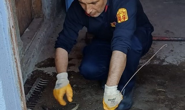 Eve giren yılanı itfaiye ekipleri yakaladı