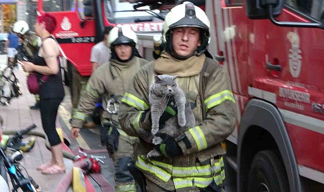 Fatih'te yangında mahsur kalan kedi itfaiye ekiplerince kurtarıldı