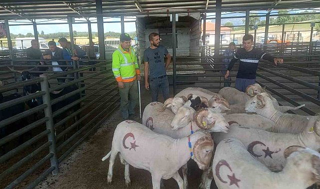 Gediz'de kurbanlık satışları başladı