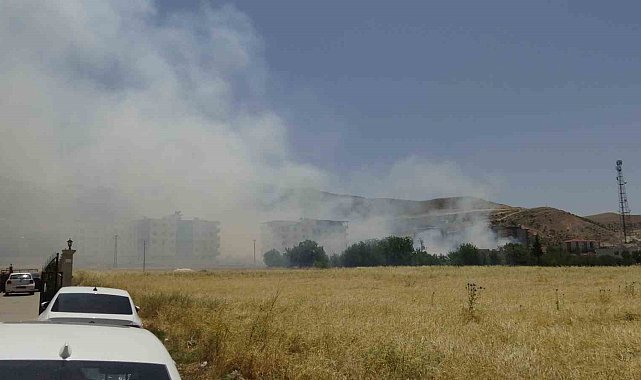 Gercüş'te 20 dönüm buğday ve arpa tarlası yandı