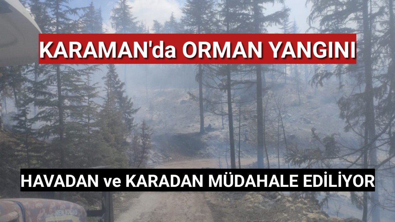 Karaman'da Orman Yangını.. Havadan ve Karadan Müdahale Ediliyor