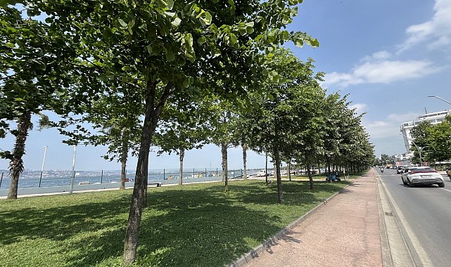 Kocaeli'yi ıhlamur kokusu sardı