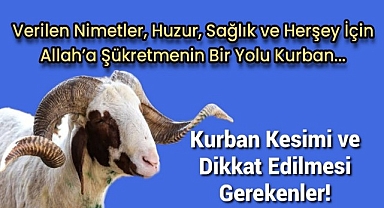 Kurban Kesimi,Paylaşımı ve Dikkat Edilmesi Gerekenler!