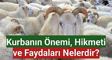 Kurbanın Önemi, Hikmeti ve Faydaları Nelerdir?