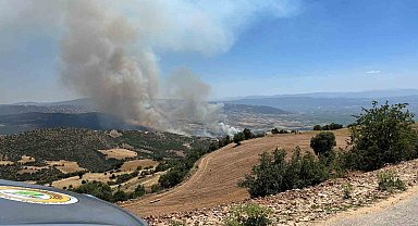 Manisa Valiliğinden yangına ilişkin açıklama