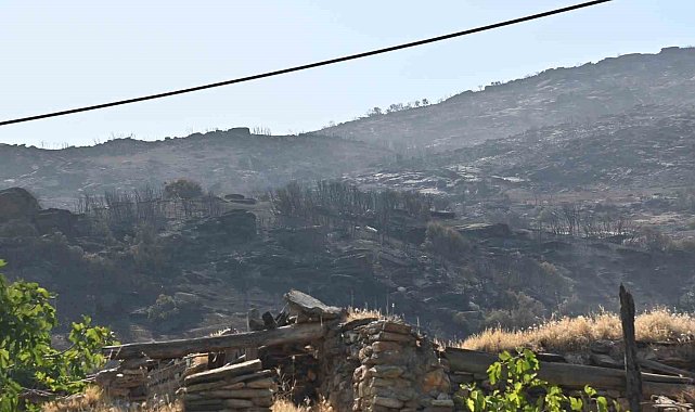 Manisa'daki yangınlar geçen seneye göre 2 kat arttı