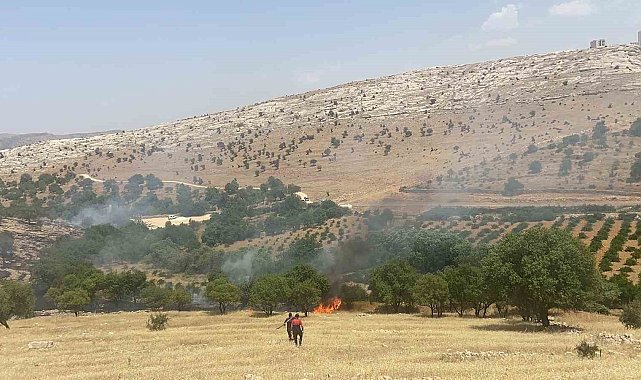 Mardin'deki orman yangını söndürüldü