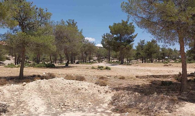 Mersin'de cinayet: 2 ölü