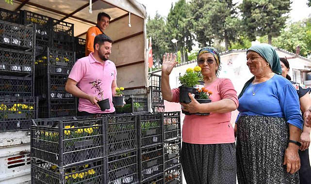 Mersin'de sivrisinek ve haşere ile bitkisel mücadele