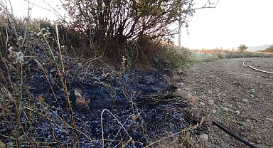 Osmaneli'de elektrik tellerine çarpan kuş yangına neden oldu