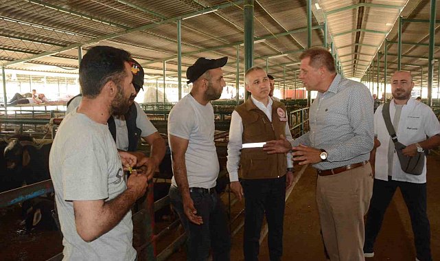 Özkasap ve Öztürk Canlı Hayvan Borsası'nda incelemelerde bulundu