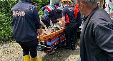 Rize'de kestiği ağacın altında kalan vatandaş yaralandı