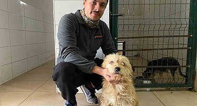 Sahipsiz köpeğe tümör ameliyatı