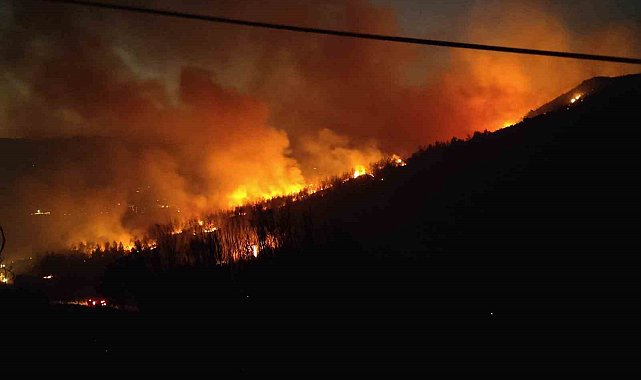 Selçuk'taki yangında felaket büyüyor